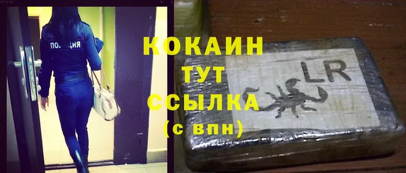 Cocaine FishScale  цены наркотик  Гусь-Хрустальный 