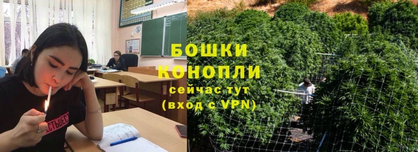 прущие грибы Мегион