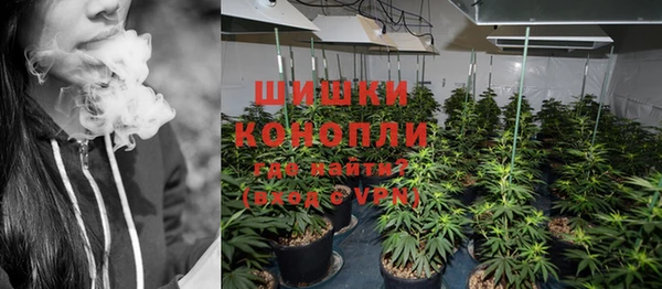 тгк Лиски