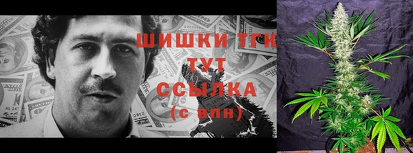 крисы Магадан