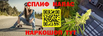 дживик Будённовск