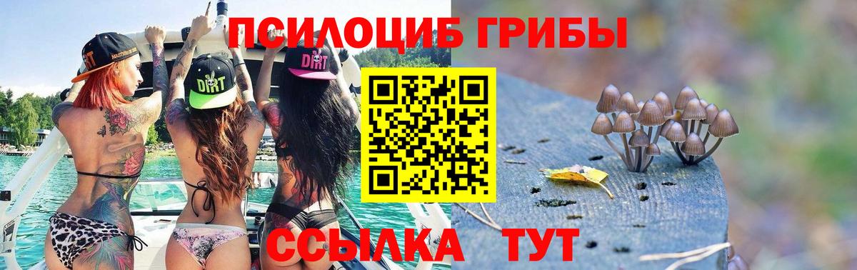 Гусь-Хрустальный  Псилоцибиновые грибы GOLDEN TEACHER  Вход с VPN  Псилоцибиновые грибы MAGIC MUSHROOMS 