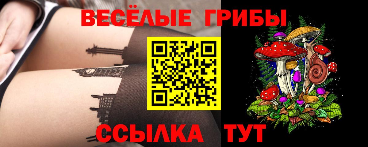 Галлюциногенные грибы Cubensis Гусь-Хрустальный